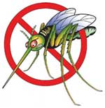 Как и чем отпугнуть комаров