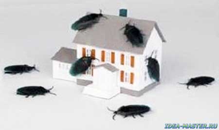 Как быстро избавиться от тараканов в доме