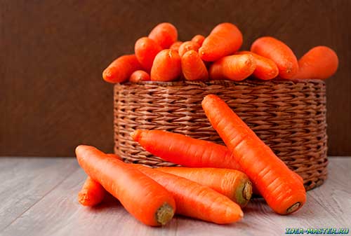 Хранение урожая моркови