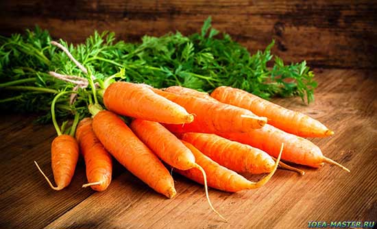 Как вырастить морковь. Как правильно выращивать морковь в открытом грунте