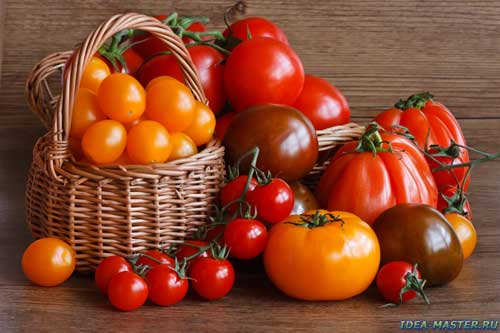 Как вырастить хорошие помидоры. Соус из свежих помидоров