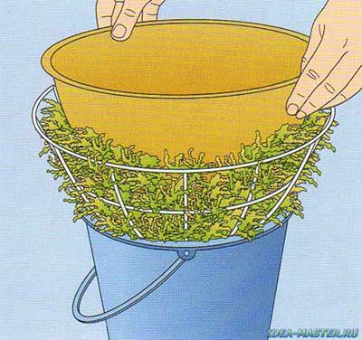 Посадка растений в подвесной корзине