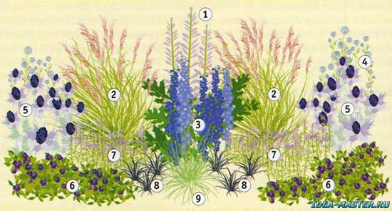 Цветочный бордюр — как посадить и как ухаживать
